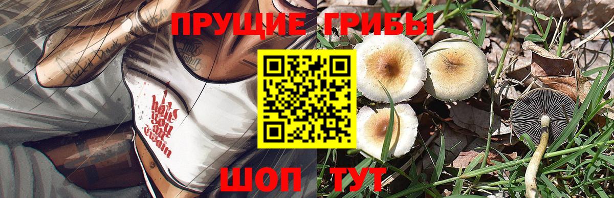 Изобильный  Галлюциногенные грибы прущие грибы  Вход с VPN 
